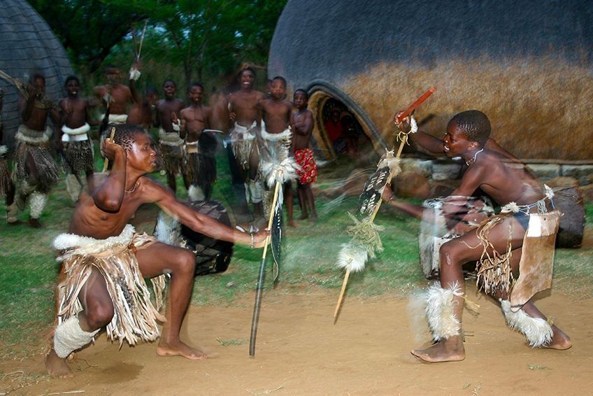 danse zoulou afrique du sud