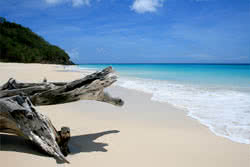 Plages de r�ve