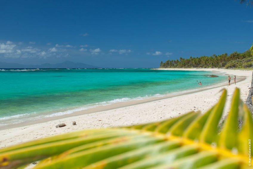 vue sur la plage de la feuillre  Marie Galante en Guadeloupe