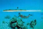 Plong�e aux Maldives