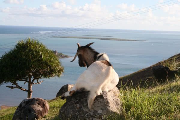 Panorama sur Rodrigues