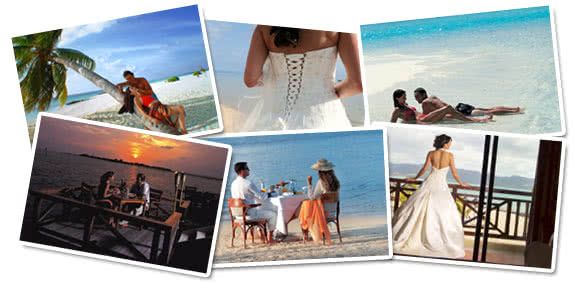 Nos voyages de noces