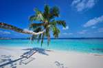 Bandos Island Resort & Spa