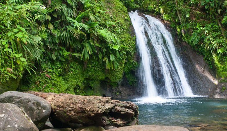 Combin� Basse-Terre/Les Saintes - Grandeur Nature