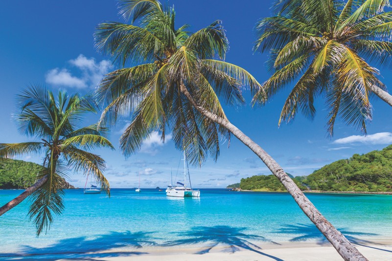 Croisi�re Dream Grenadines + extension Martinique
