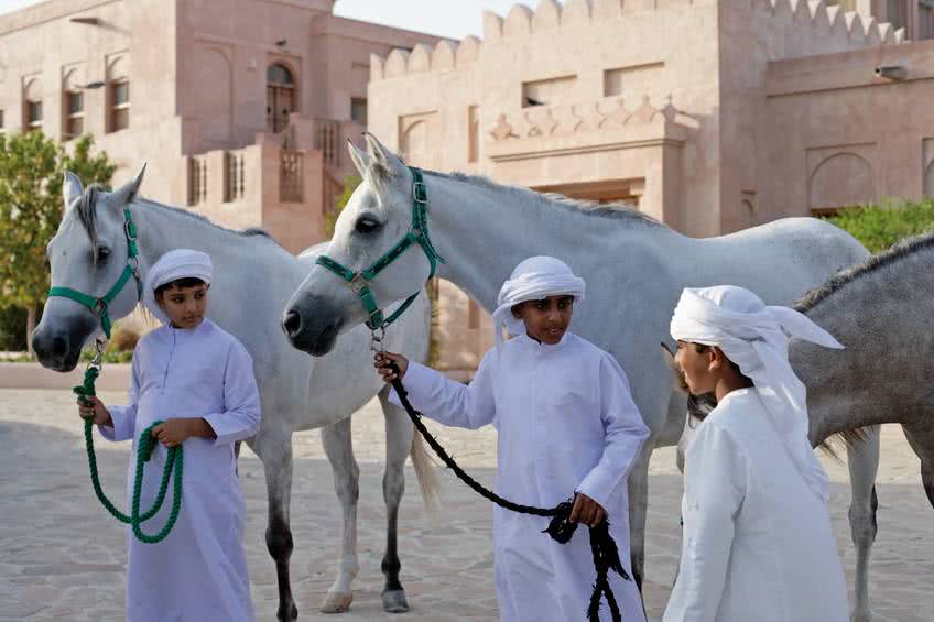 fort al ain abu dhabi