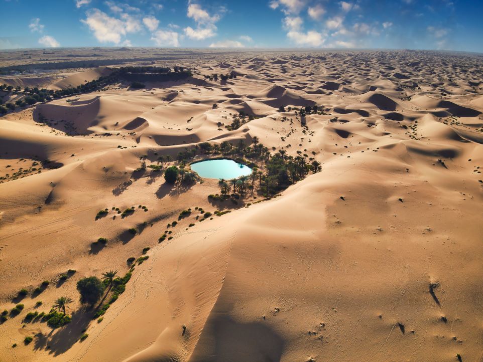 oasis dans le dsert de liwa  abu dhabi