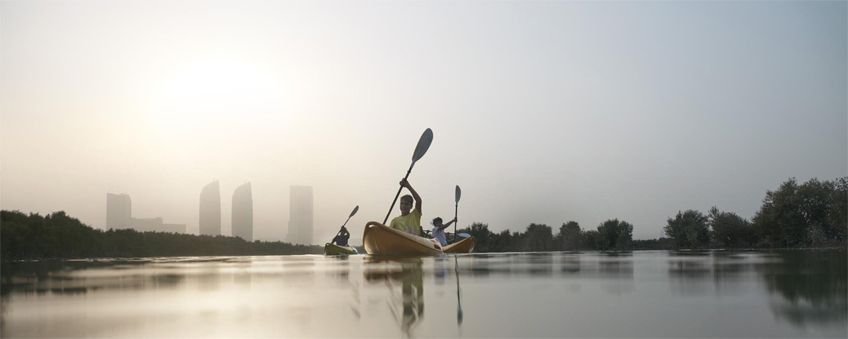 mangrove national park abu dhabi