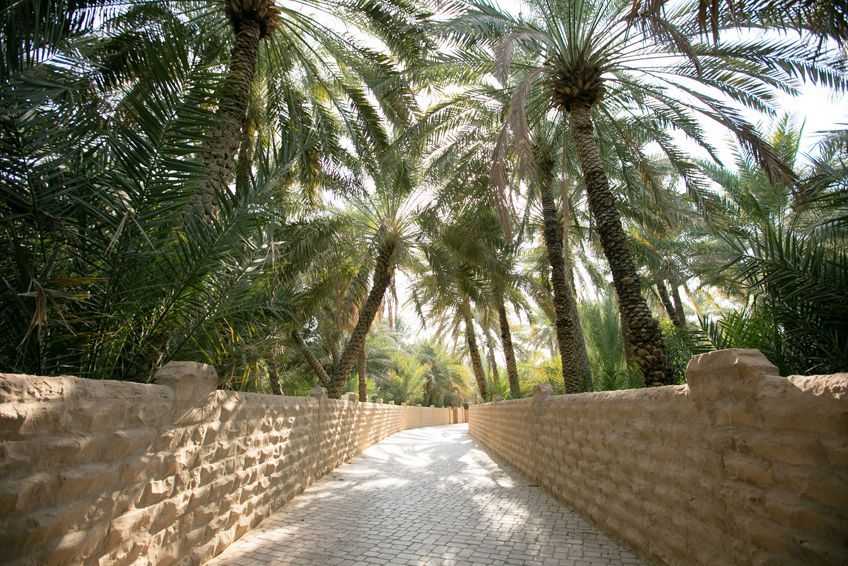 oasis al ain abu dhabi