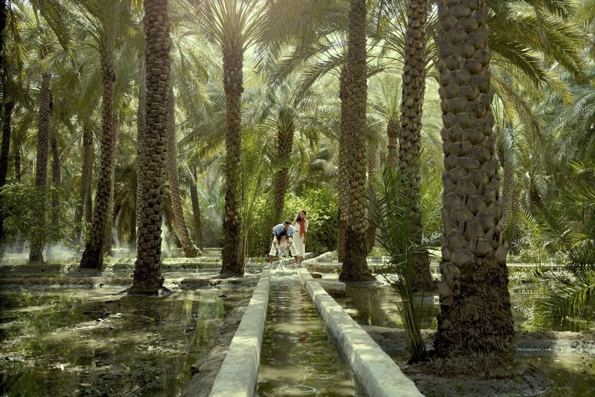L'oasis d'Al-Aïn