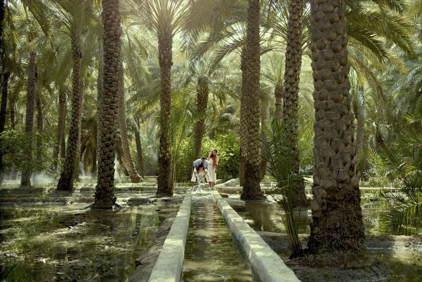 L'oasis d'Al-Aïn à Abu Dhabi - Tropicalement Vôtre