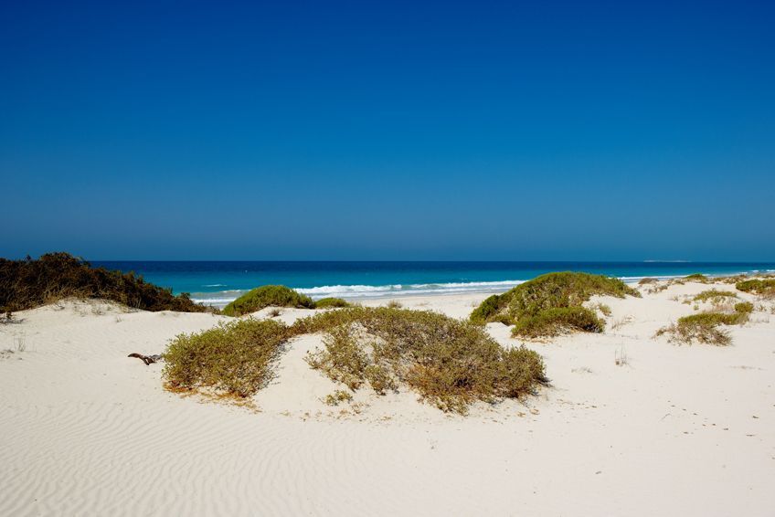 plage saadiyat abu dhabi