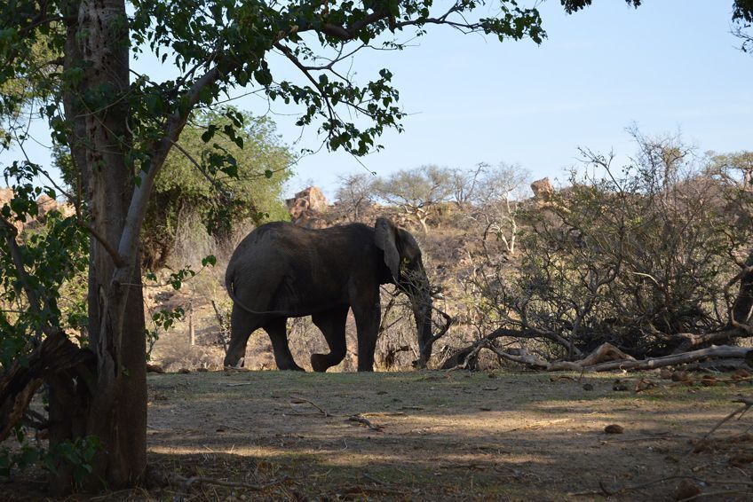 mapungubwe thulamela afrique du sud