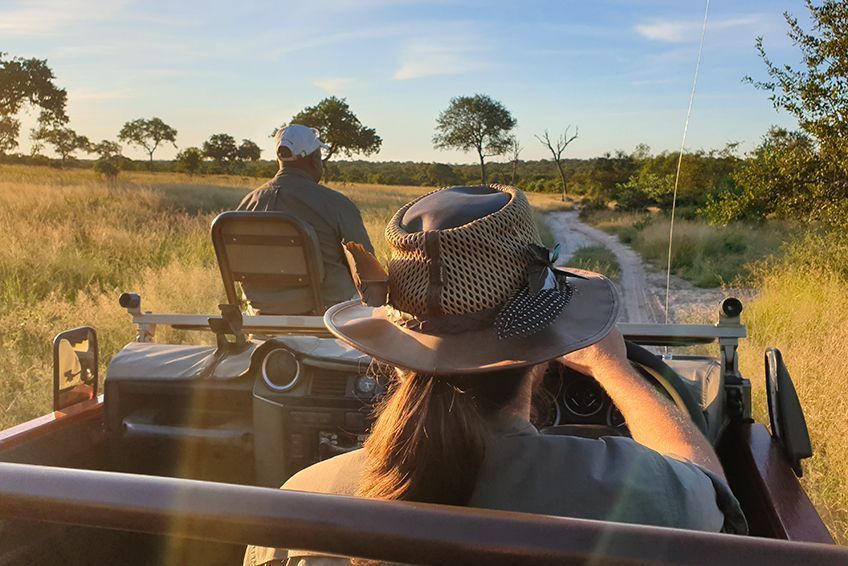 parc kruger afrique du sud