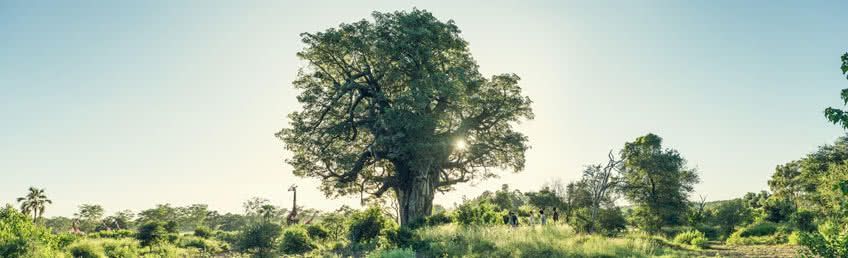 Partir en Afrique du Sud