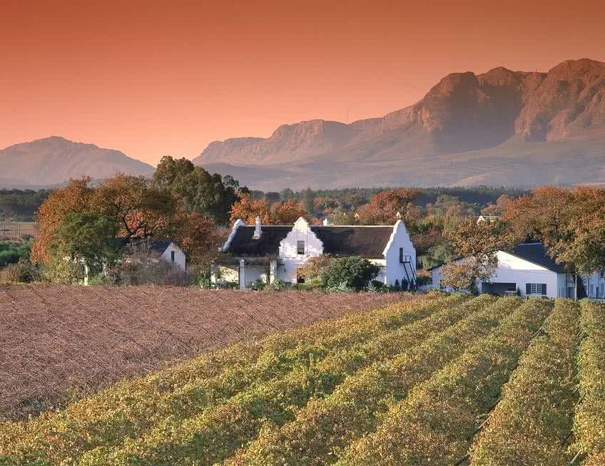 route des vins afrique du sud