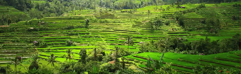 Indonsie