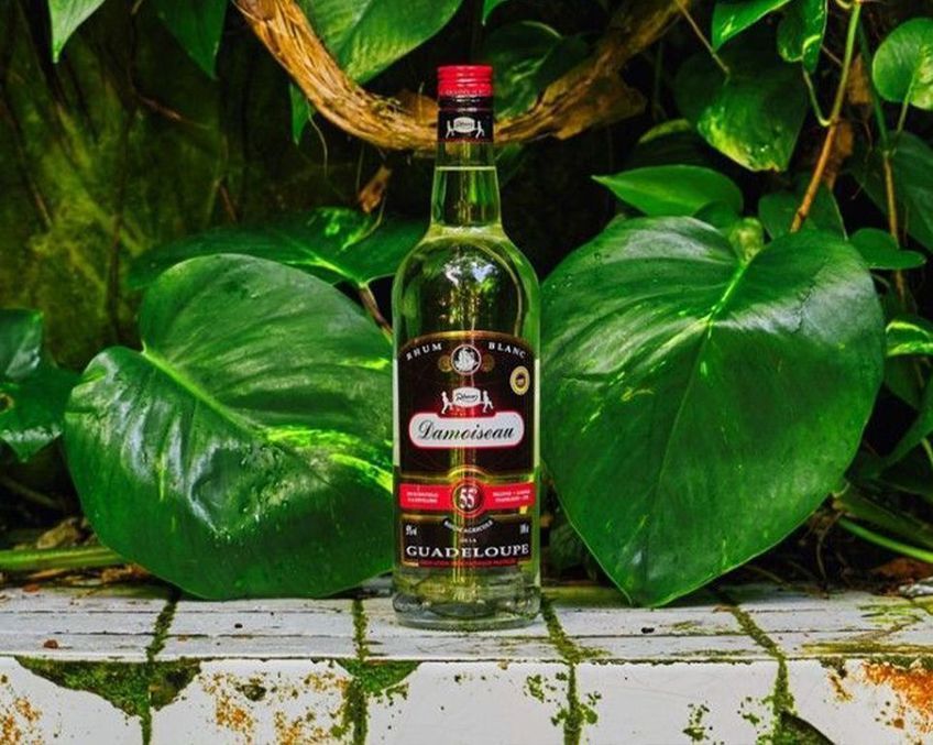 bouteille de rhum damoiseau en guadeloupe