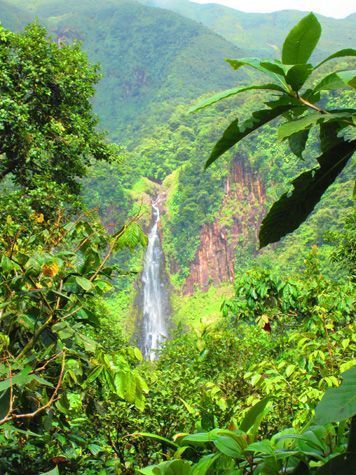 Chute Guadeloupe