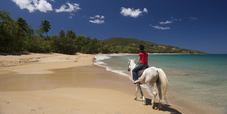 basse terre guadeloupe