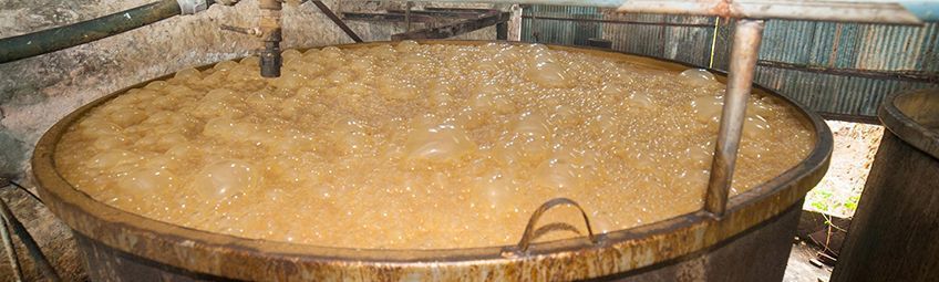 cuve de distillerie au domaine longueteau en guadeloupe