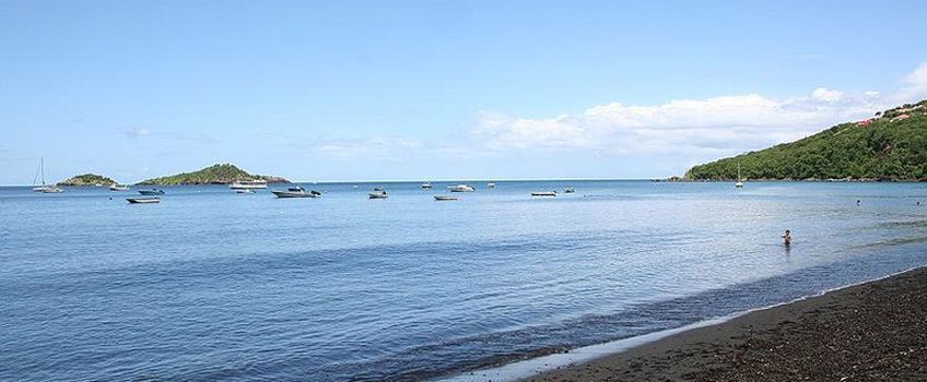 Les lets Pigeon de la Rserve du Commandant Cousteau