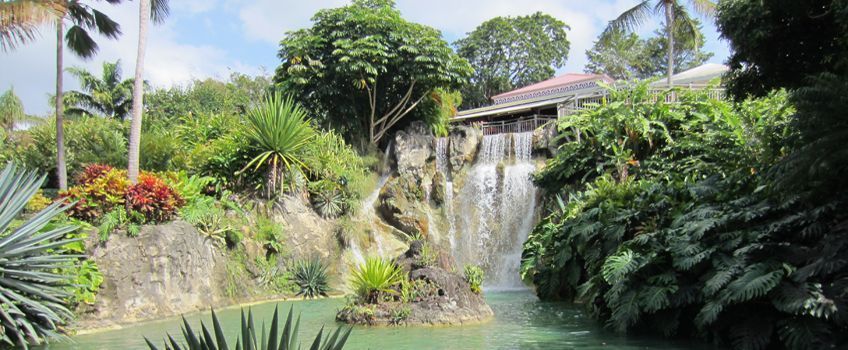 Le jardin botanique de Deshaies 