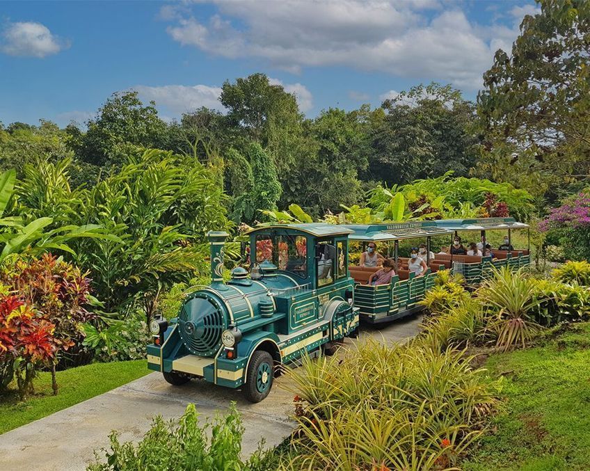 train du jardin de valombreuse en Guadeloupe