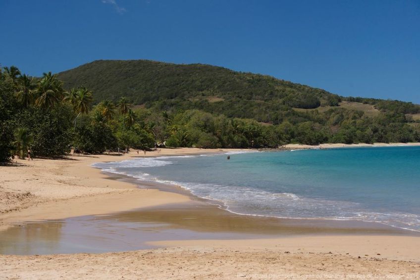 vue sur la plage de la perle en guadeloupe