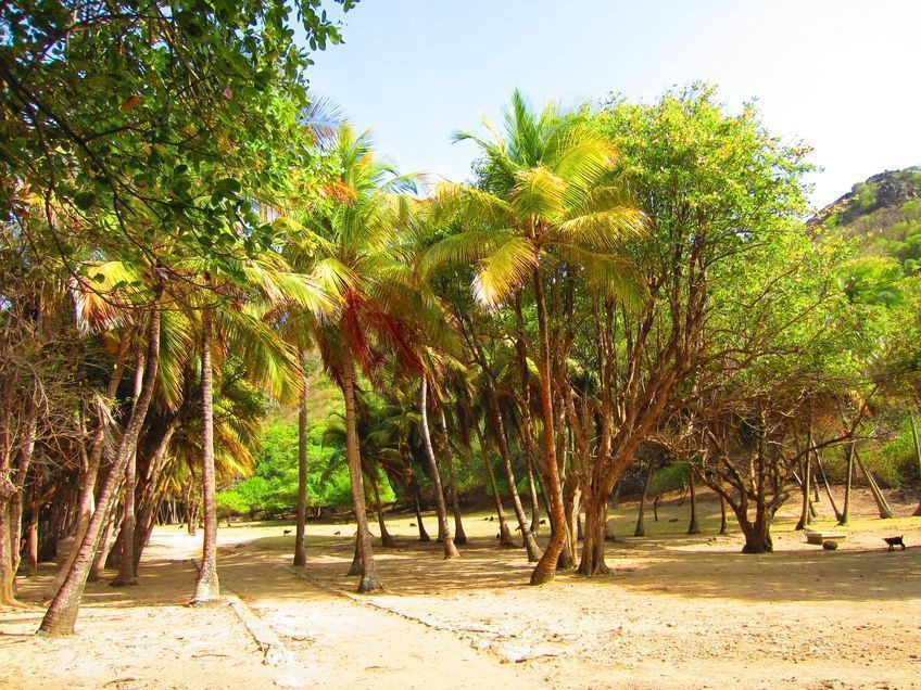 plage pompierre saintes guadeloupe