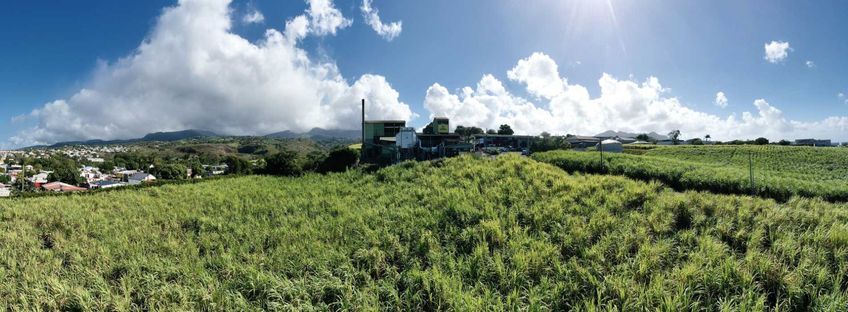 vue du domaine Bologne en guadeloupe