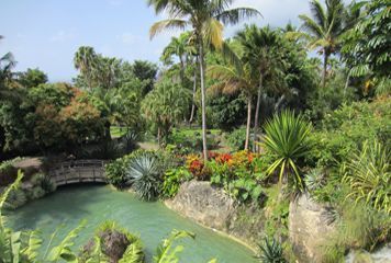 vgtation jardin botanique de Deshaies 