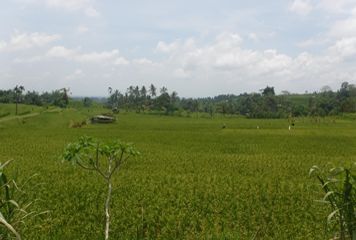 Visiter les rizières de Jatiluwih