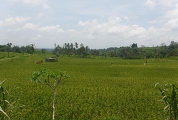 Visiter les rizires de Jatiluwih