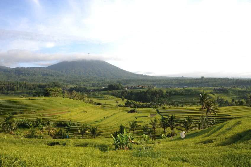 tout savoir indonesie