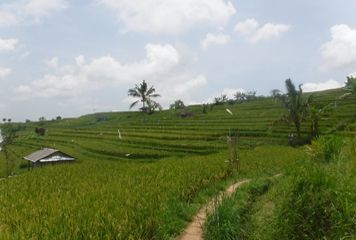 Vue sur les rizières de Jatiluwih