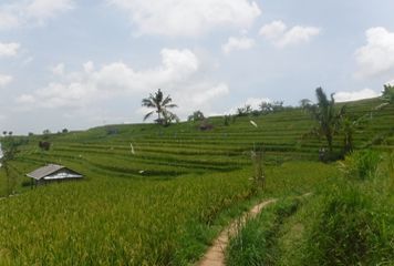 Vue sur les rizires de Jatiluwih