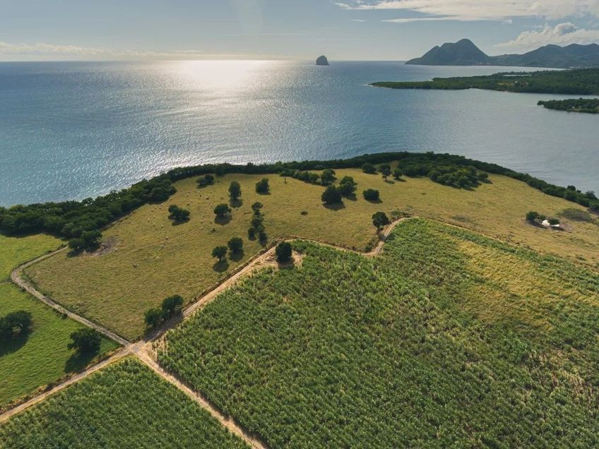 vue du domaine de la distillerie trois rivieres martinique