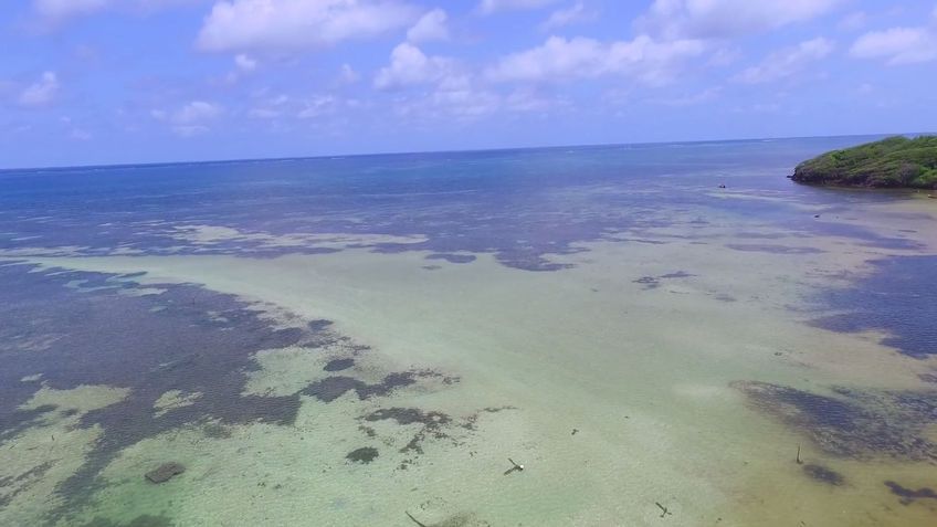 les fonds blancs en martinique