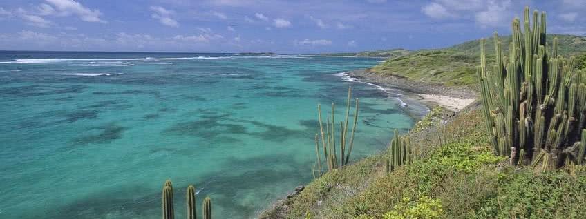 tout savoir martinique