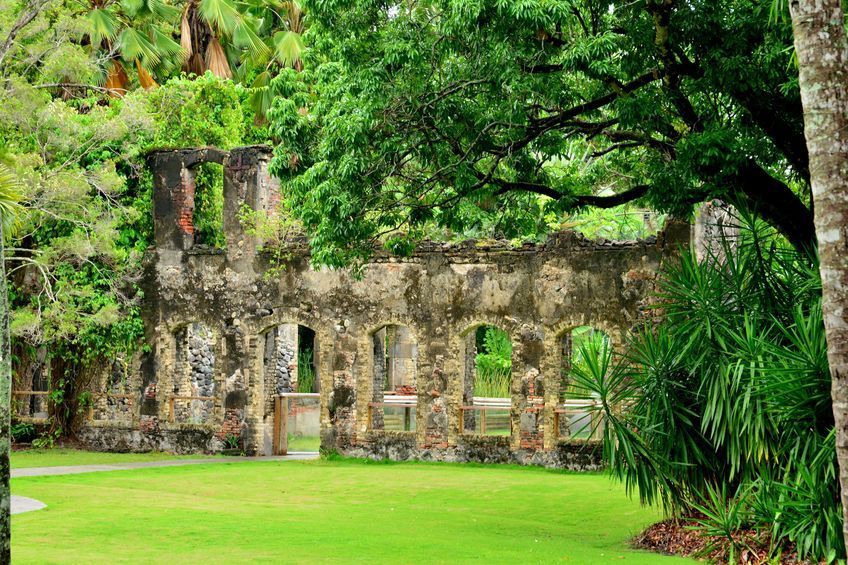 ruines habitation latouche en martinique