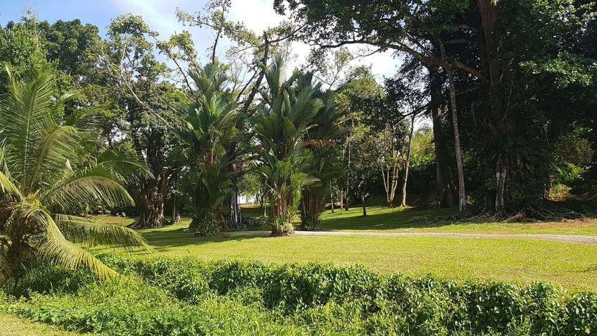 jardin habitation saint etienne martinique