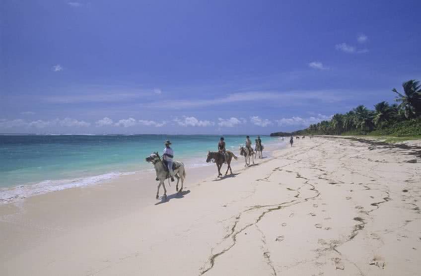 plage anse grosse roche martinique