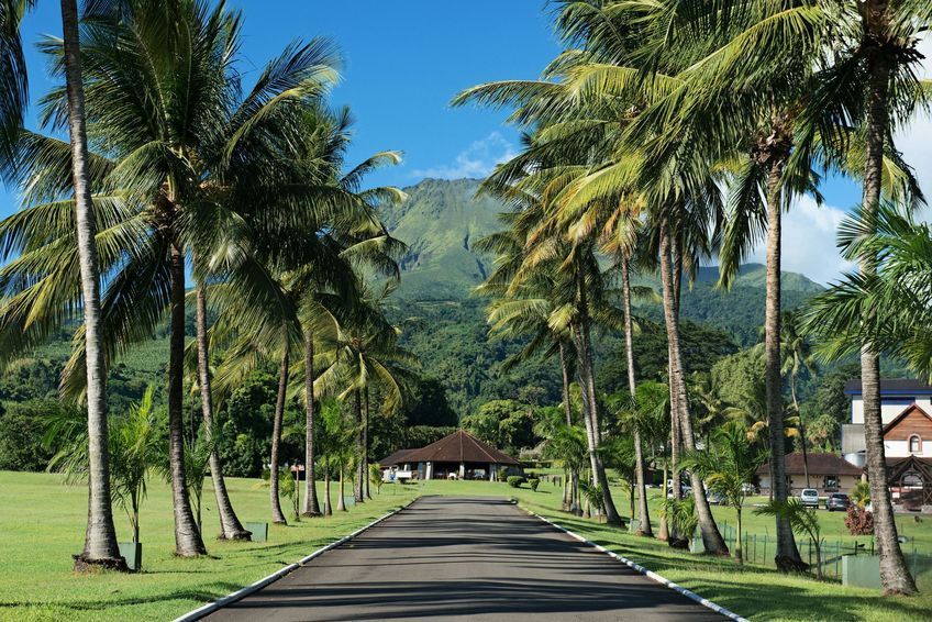 domaine distillerie depaz en martinique