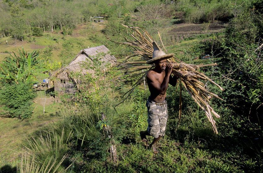 agriculteur la savane des esclaves martinique