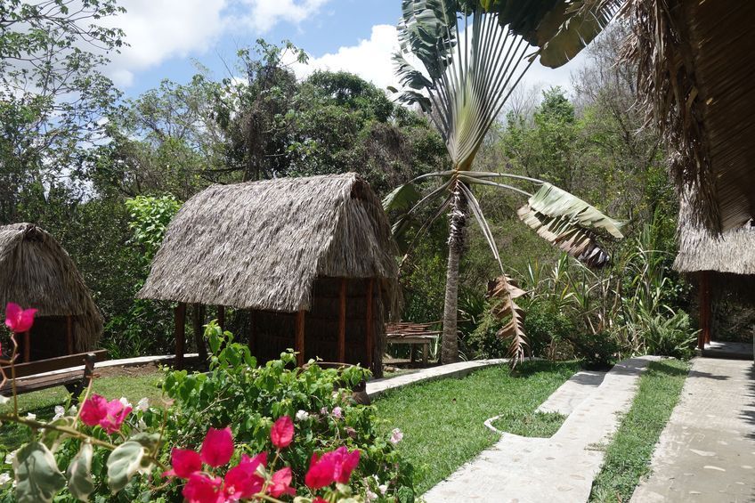 vue du jardin  la savane des esclaves martinique