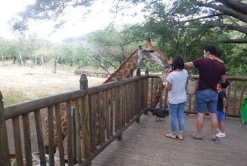 animaux du parc casela  maurice