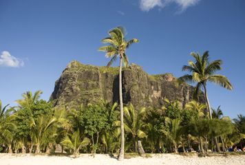 Au pied du Morne Brabant