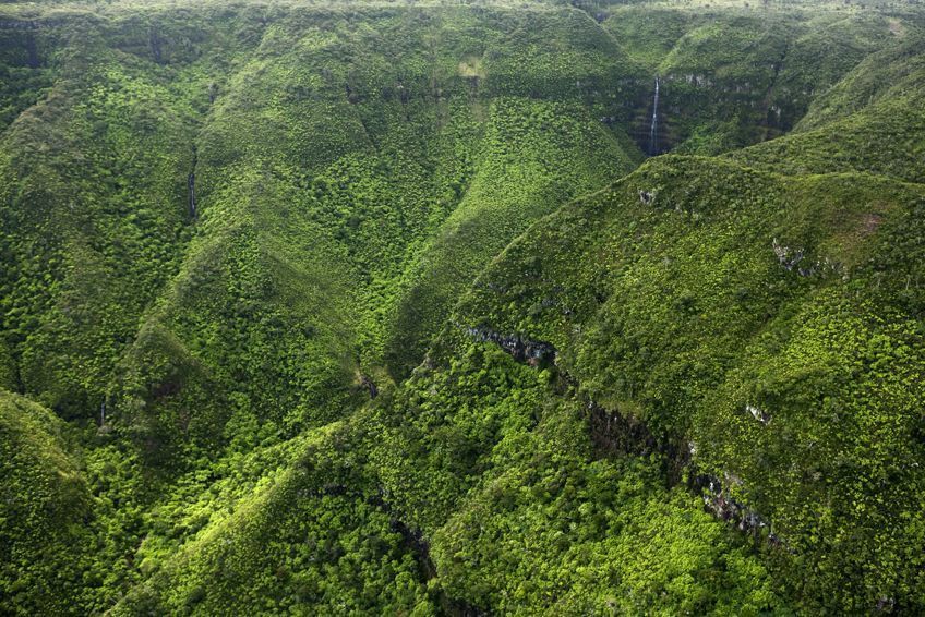 Parc Nationam des Gorges de Rivire Noire