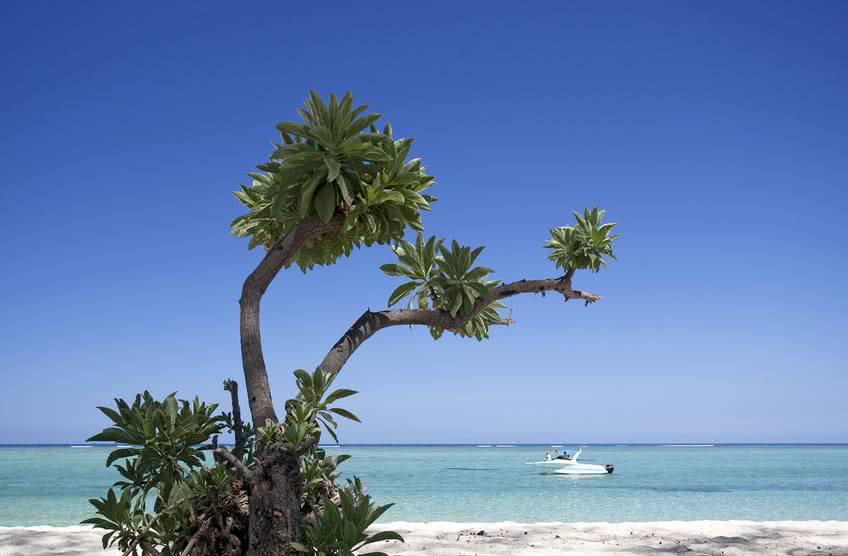 plage lagon turquoise ile maurice